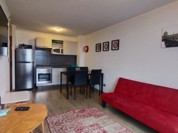 Arriendo Mensual / Departamento / Viña del Mar