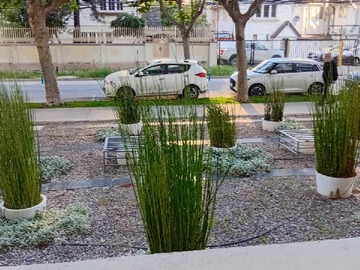Arriendo Mensual / Departamento / Viña del Mar