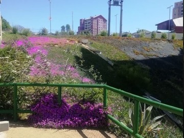 Imagen 14