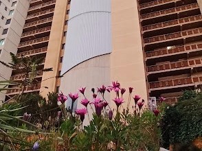 Arriendo Mensual / Departamento / Viña del Mar