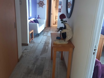 Arriendo Mensual / Departamento / Viña del Mar