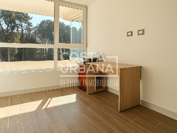 Imagen 7