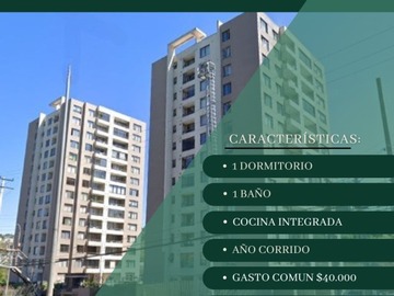 Arriendo Mensual / Departamento / Viña del Mar