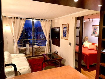 Arriendo Mensual / Departamento / Viña del Mar