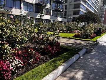 Imagen 11