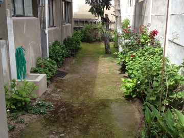 Arriendo Mensual / Departamento / Viña del Mar