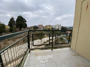 Imagen 13
