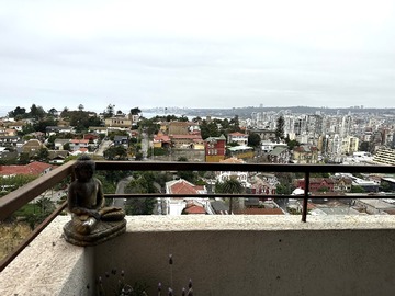 Imagen 20