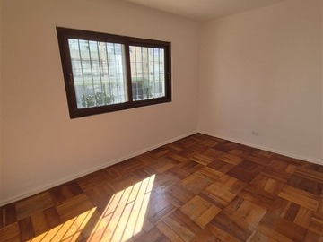 Imagen 19