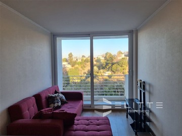 Arriendo Mensual / Departamento / Viña del Mar