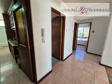 Imagen 7