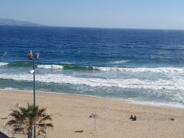 Arriendo Mensual / Departamento / Viña del Mar