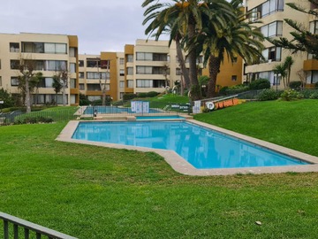 Arriendo Mensual / Departamento / Viña del Mar
