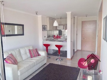 Arriendo Mensual / Departamento / Viña del Mar