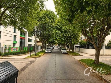 Arriendo Mensual / Departamento / Viña del Mar