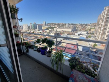 Arriendo Mensual / Departamento / Viña del Mar