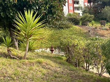 Imagen 18