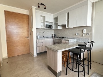 Arriendo Mensual / Departamento / Viña del Mar