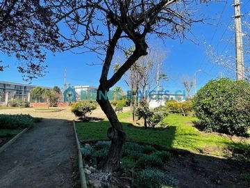 Arriendo Mensual / Departamento / Viña del Mar