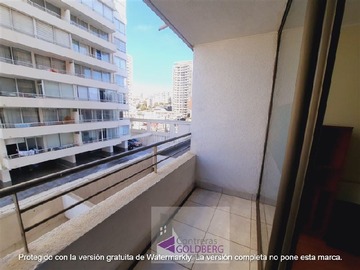 Imagen 8