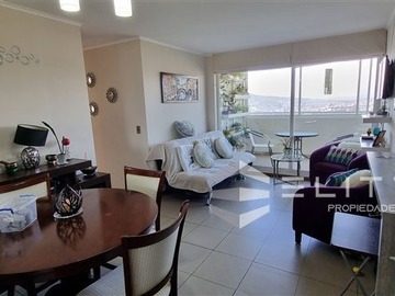 Arriendo Mensual / Departamento / Viña del Mar