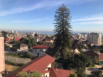 Arriendo Mensual / Departamento / Viña del Mar