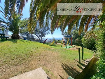 Imagen 13