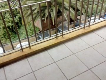 Imagen 8