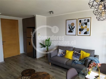 Arriendo Mensual / Departamento / Viña del Mar