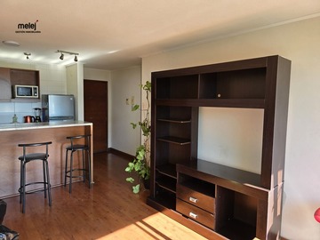 Arriendo Mensual / Departamento / Viña del Mar