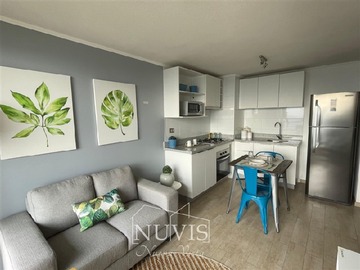 Arriendo Mensual / Departamento / Viña del Mar