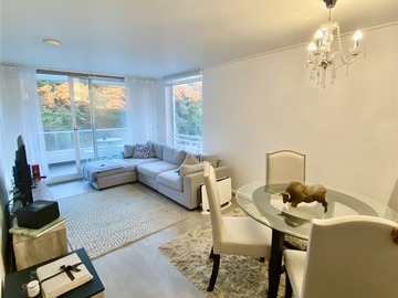 Arriendo Mensual / Departamento / Viña del Mar