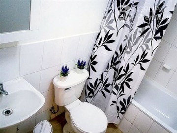 Imagen 12