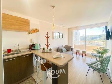 Arriendo Mensual / Departamento / Viña del Mar