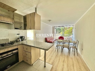 Arriendo Mensual / Departamento / Viña del Mar