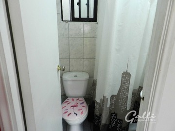 Imagen 16