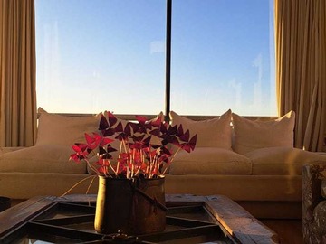 Arriendo Mensual / Departamento / Viña del Mar