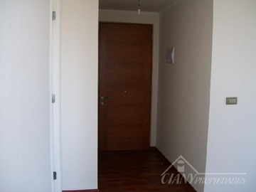 Imagen 7