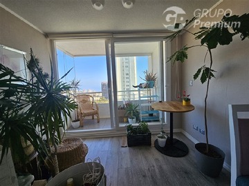 Arriendo Mensual / Departamento / Viña del Mar