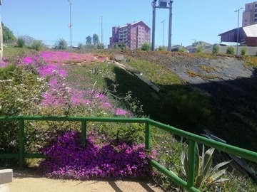 Imagen 22
