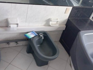 bidet wc