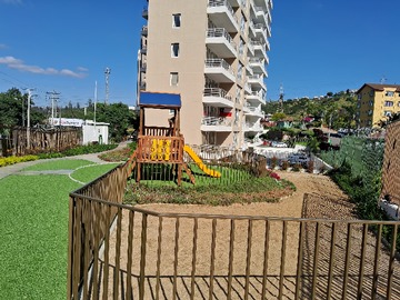 Imagen 5