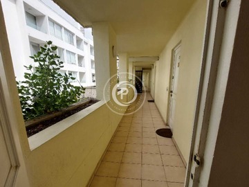 Arriendo Mensual / Departamento / Viña del Mar