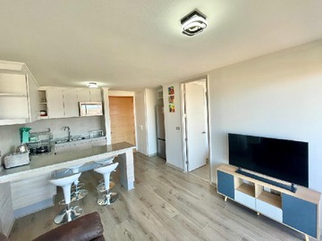 Arriendo Mensual / Departamento / Viña del Mar