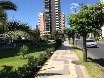 Imagen 10