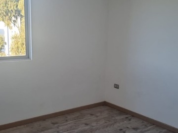 Imagen 6