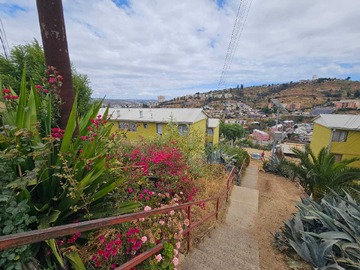 Arriendo Mensual / Departamento / Viña del Mar