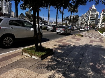 Arriendo Mensual / Departamento / Viña del Mar