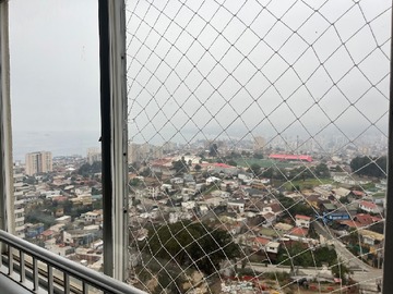 Imagen 13