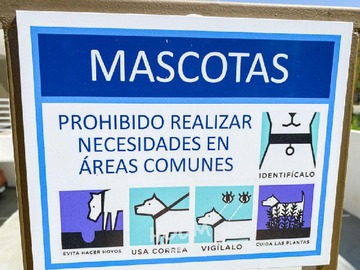 Imagen 28